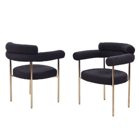 Upholstered Accent Dining Chairs With Armrests (Set of 2)