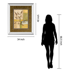 Urban Garden I By Norm Olson - Mirror Framed Print Wall Art - Dark Brown