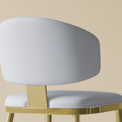 Modern Dining Chairs For Kitchen (Set of 2)