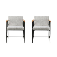 Modern Dining Chair With Iron Frame (Set of 2)