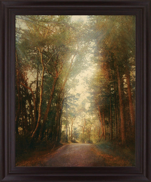 Sunbeam Woodland - 28" x 34" Framed Wall Art