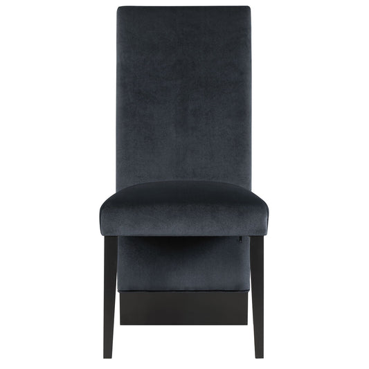 Stacey - Contemporary Dining Chair (Set of 2)