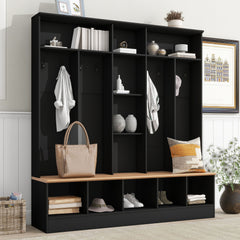 Minimalist Shoe Cabinet With Cube Storage & Shelves