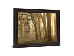 Misty Golden Grove - 28" x 34" Framed Wall Art