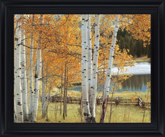 Golden Grove Serenity - 28" x 34" Framed Wall Art