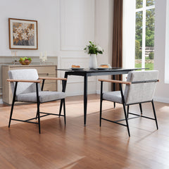 Modern Dining Chair With Iron Frame (Set of 2)