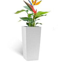 Large Self Watering Flower Pot With Drainage Holes & Inner Tray