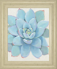 22x26 Pastel Succulent I By Tim OToole - Light Blue