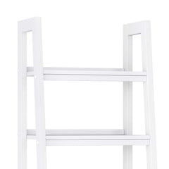 Sawhorse - Handcrafted Ladder Shelf With Storage