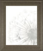 22x26 Dandelion Whisper II By Grace Popp - Pearl Silver