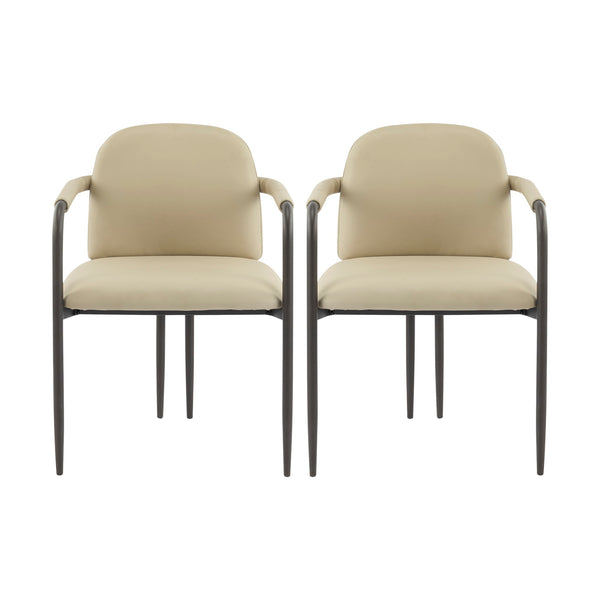 Modern Dining Chair (Set of 2) With Iron Frame - Espresso / Khaki