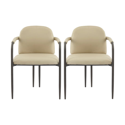 Modern Dining Chair (Set of 2) With Iron Frame - Espresso / Khaki
