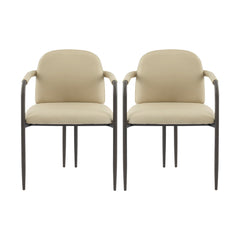 Modern Dining Chair (Set of 2) With Iron Frame - Espresso / Khaki