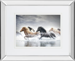 Horse Run V By PHBurchett - Dark Gray