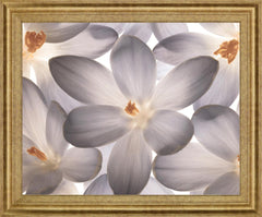 Whispering Blossom - 28" x 34" Framed Wall Art
