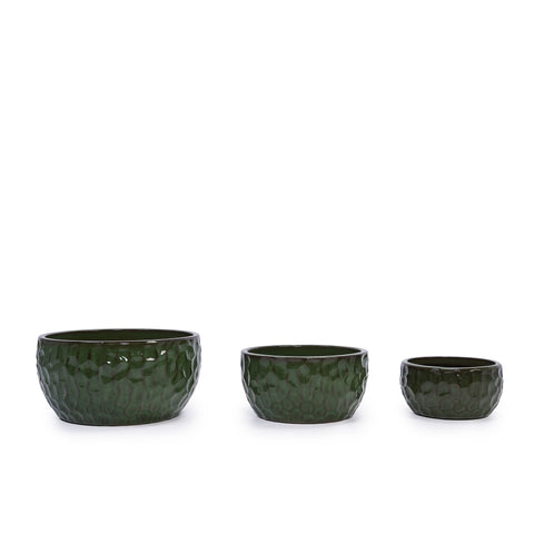 dark-green