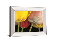 Sunshine Tulips By Frank, A. - Mirror Framed Print Wall Art - Yellow