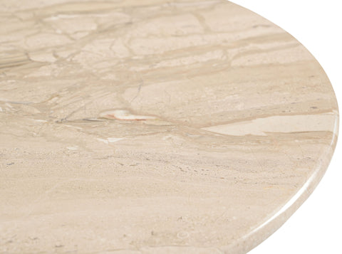 Liona - Marble And Mango Wood Table