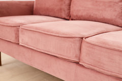 Graceful Design Plush Comfort Sofa