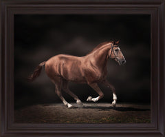 Chestnut Grace - 28" x 34" Framed Wall Art