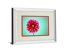 Zenia By Gail Peck - Mirror Framed Print Wall Art - Pink