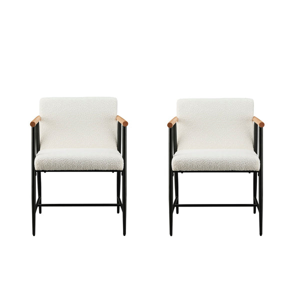 Modern Dining Chair With Iron Frame (Set of 2)