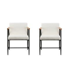 Modern Dining Chair With Iron Frame (Set of 2)