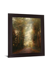 Sunbeam Woodland - 28" x 34" Framed Wall Art