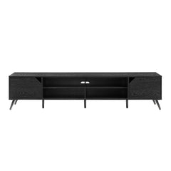 Contemporary 2 Door Minimalist TV Stand