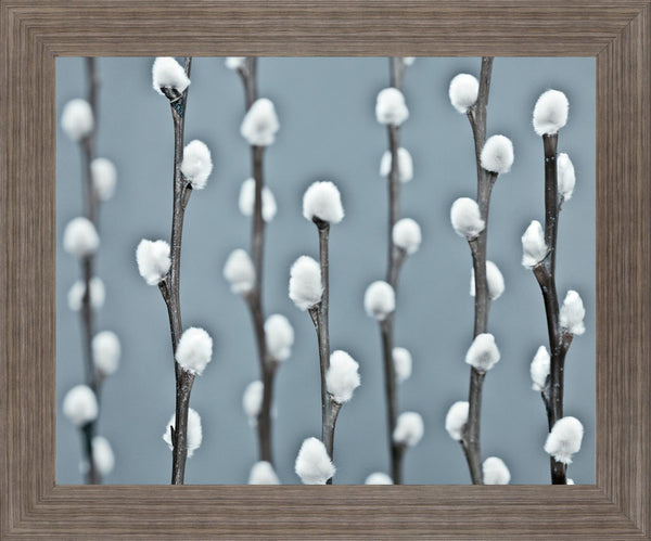Winter Willow - 28" x 34" Framed Wall Art