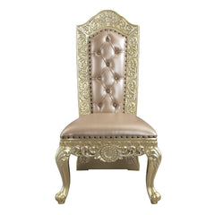 Vatican - Side Chair (Set of 2) - Synthetic Leather & Champagne Silver