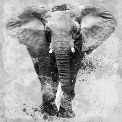 Small - Proud Elephant By Carol Robinson - Dark Gray
