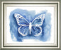 22x26 Butterfly Inkling I By Grace Popp - Blue