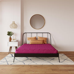 Dana - 6" Quilted Mattress With Removable Cover