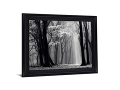 Silent Grove Shadows - 28" x 34" Framed Wall Art
