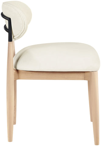 Riccio - Side Chair (Set of 2) - Natural Frame
