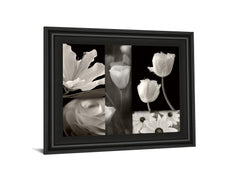 Summer Garden Il By Dennis Frates - Framed Print Wall Art - White