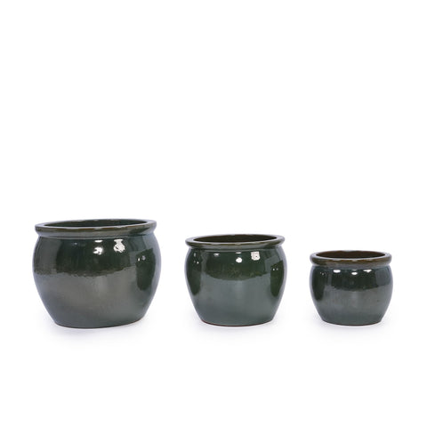 dark-green