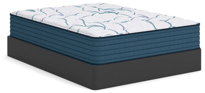 Limited Edition Plush 3.0 - Mattress