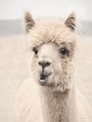 Soft Alpaca 2 By Lori Deiter (Framed) - Beige
