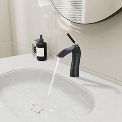 Contemporary Single Handle Lavatory Basin Sink Faucet Brass