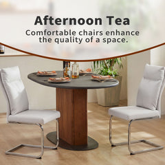 Modern Dining Chair SetWith Soft Cushion Backrest (2 Pieces)