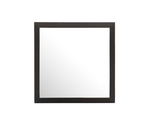 Burlington - Modern Design Transitional Wall Mirror