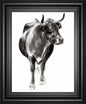 22x26 Charcoal Cattle I By Jennifer Paxton Parker - Dark Gray