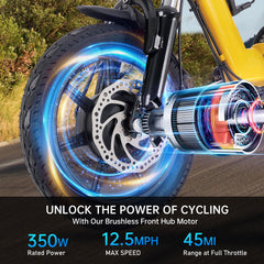 Folding Electric Trike With 350W Peak Motor, 480Wh Removable Battery, 2 Seat Design