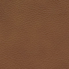 Magic Man - Reclining Sectional