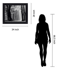 Silent Grove Shadows - 28" x 34" Framed Wall Art