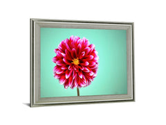 Crimson Radiance - 28" x 34" Framed Wall Art