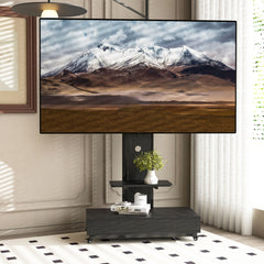 Mobile TV Cart With Push Pull Drawer, Lockable Wheels