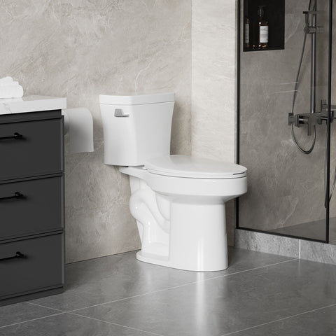 Gloss 2 Piece Toilet With 1.28 Gpf Tornado Flush, Rimless Bowl, Soft Closing Seat - Gloss White